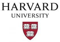 logo 6